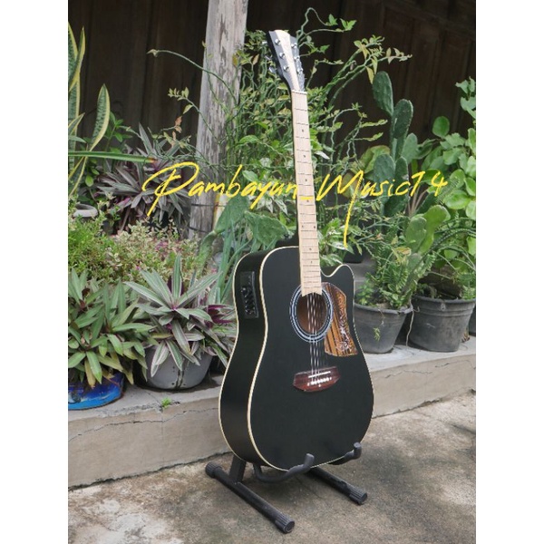 GITAR ELEKTRIK COLE CLARK Custom GRATIS KABEL JACK &amp; PACKING KAYU