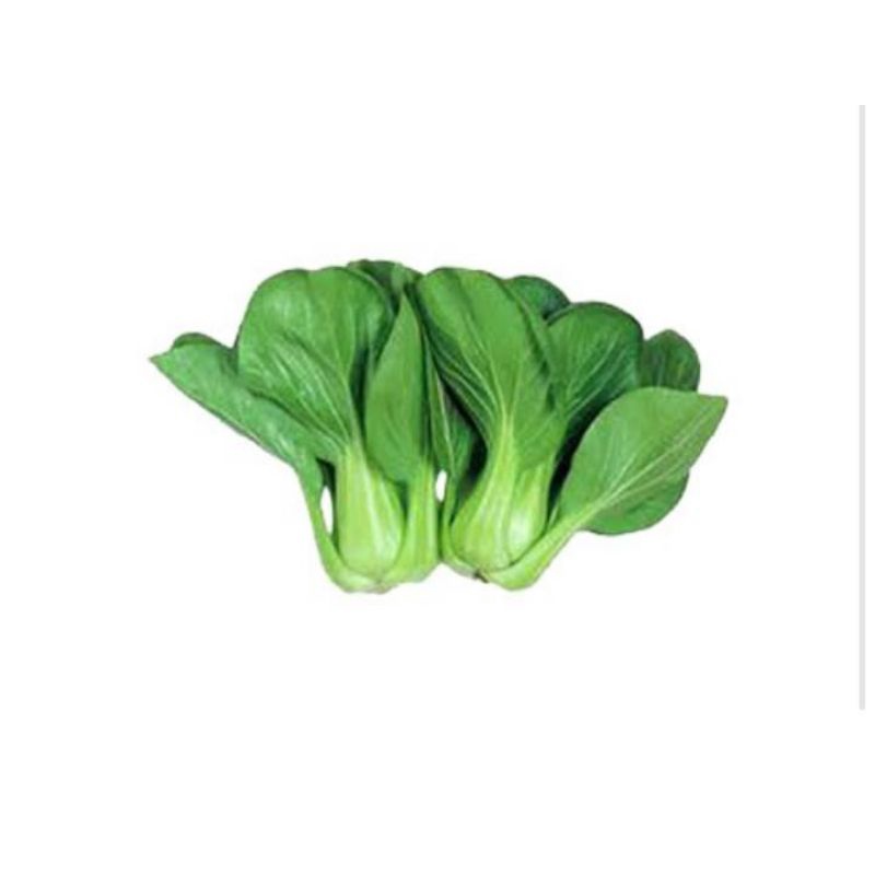 

sayur. PAKCOY FRESH per pcs