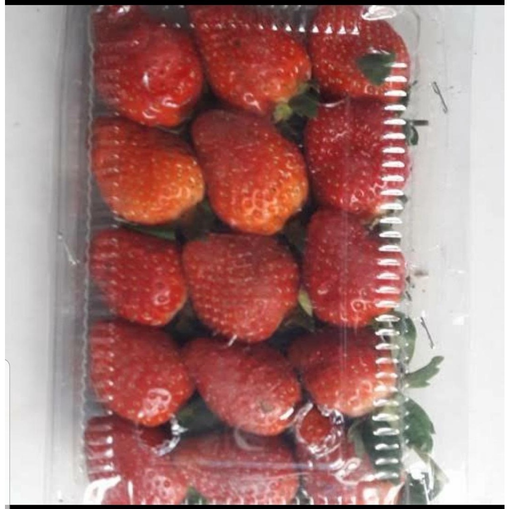 

STRAWBERRY ORGANIK FRESH B 125GR/MUIRAH BANGET/MANTAP
