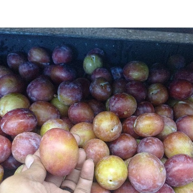 

Plum Cherry Sugar super manis 0.5 kg / pack