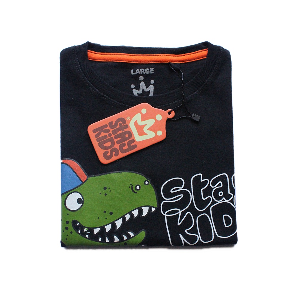 KAOS ANAK USIA 1-12 TAHUN / KAOS DISTRO ANAK MOTIF DINO / KAOS ANAK LAKI-LAKI