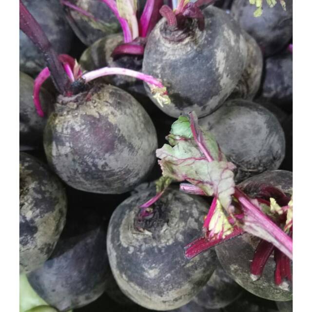 

Buah Bit Segar / Bit / Beet Root 1 kg