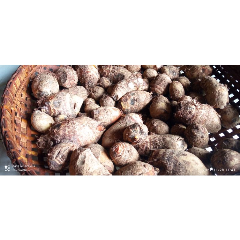 

umbi satoimo bahan makanan