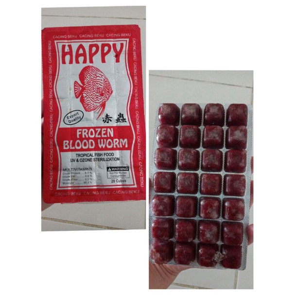 Cacing Beku Happy Cacing Darah Merah Segar Bersih Cabek