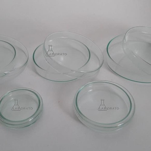 CAWAN-PETRI-PETRIDISH-150-X-25-MM-ANUMBRA ORIGINAL