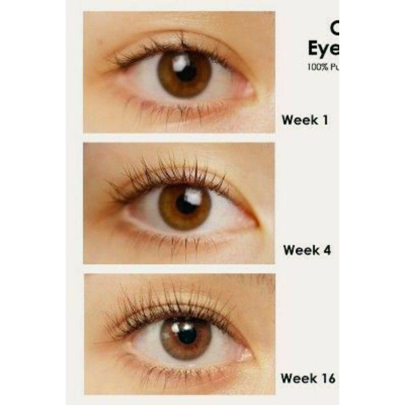 OILASH SERUM EYEBROW &amp; EYELASH SERUM BULU MATA ALIS OIL LASH MURAH OIL LASH GROSIR OIL LASH