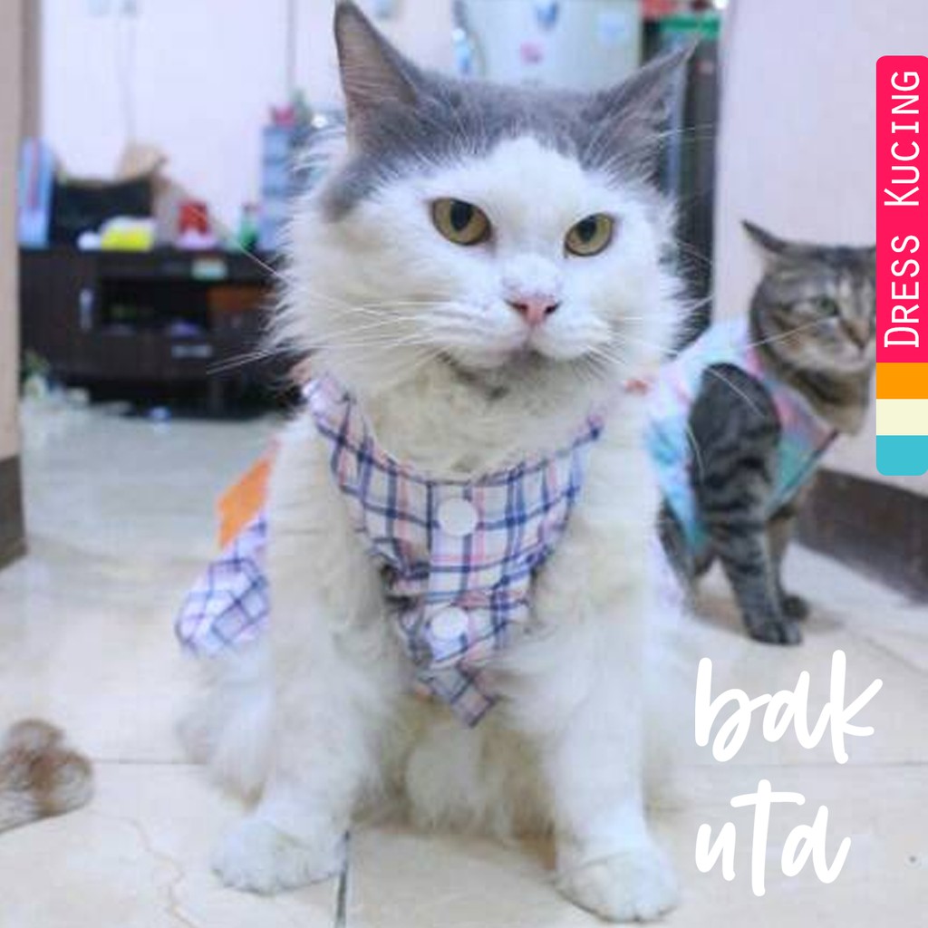 Dress kotak-kotak biru putih untuk kucing &amp; anjing /Jual Baju Kucing Terlengkap Murah size S-XL