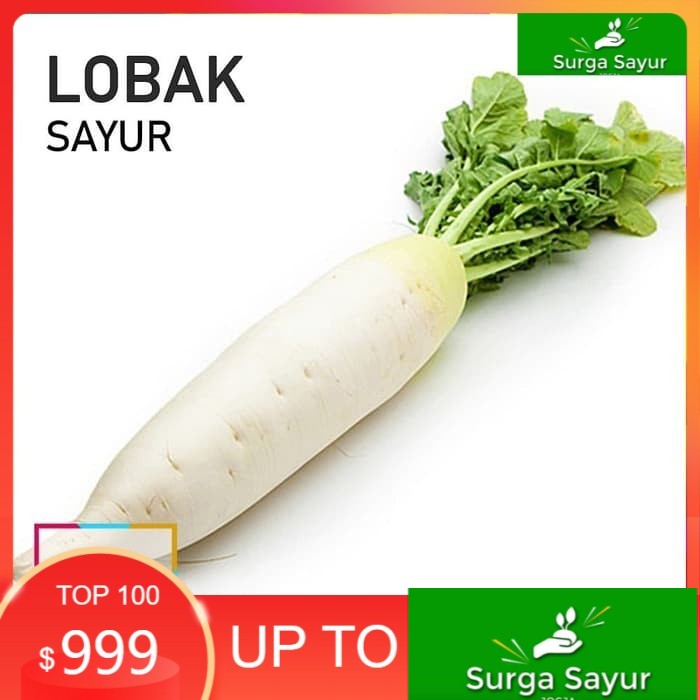 

SURGA SAYUR LOBAK SAYUR (100Gr ]SEJABODETABEK BISA INSTANT MENGGUNAKAN GOSEND &GRAB.