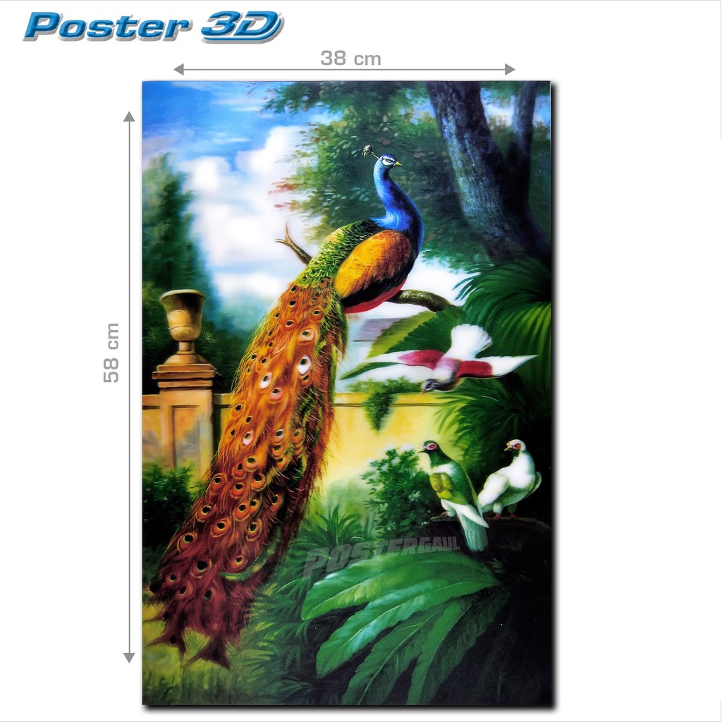 Poster 3d Fauna Burung Merak 3d222 Ukuran 58 X 38 Cm