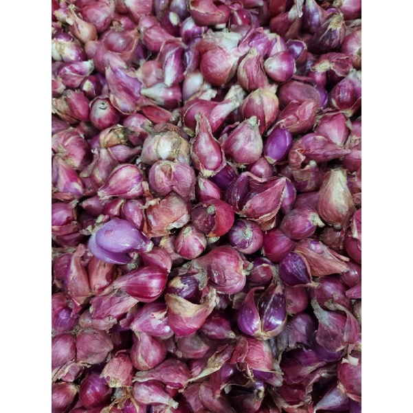 

BAWANG MERAH BREBES UKURAN SEDANG 1KG