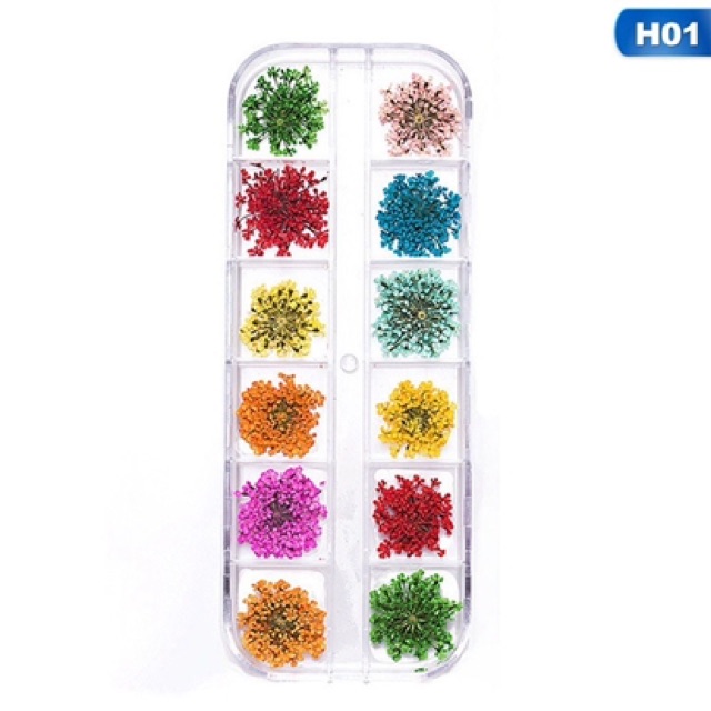 Bunga kering nailart / nail art dried flower 12 warna BUNGA KERING GAYA JEPANG UNTUK HIASAN KUKU LITTLE DRY FLOWER NAIL ART