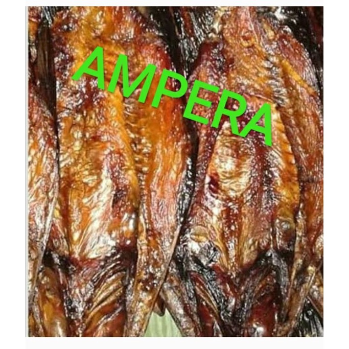 

Ikan Asap patin Ampera kemasan vacum berat 500 gram