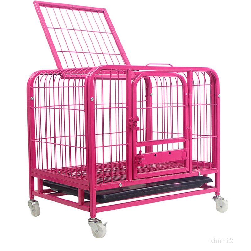 Kandang Anjing Sedang Anjing Kecil Anjing Kandang Anjing