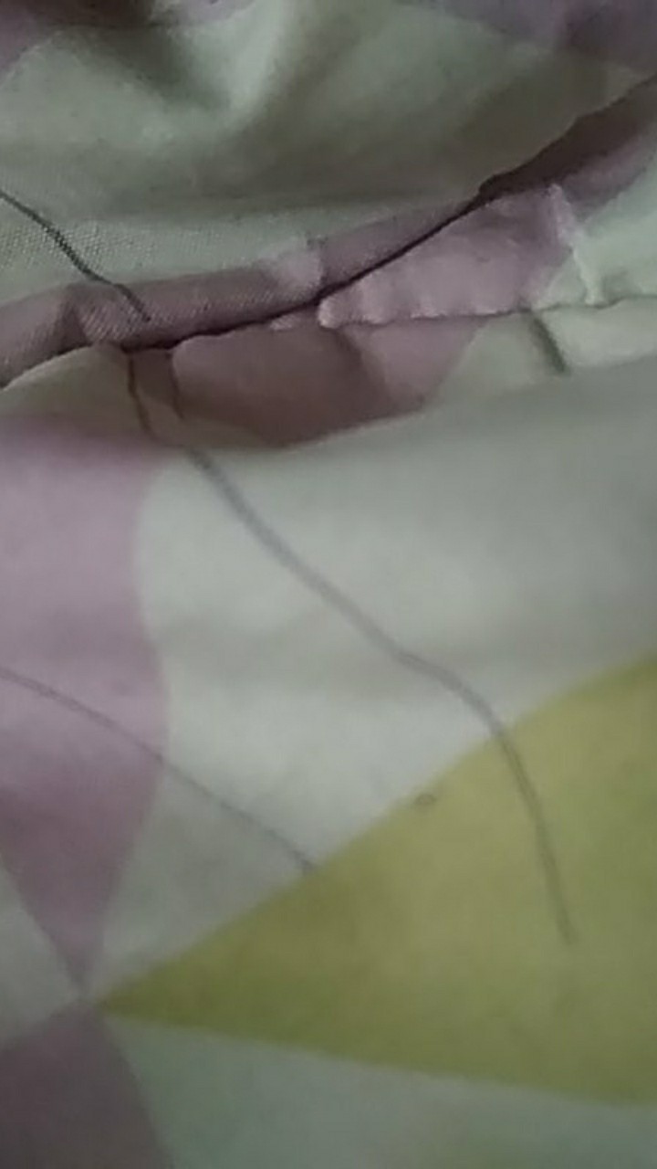 Kocokan Telur Stainless