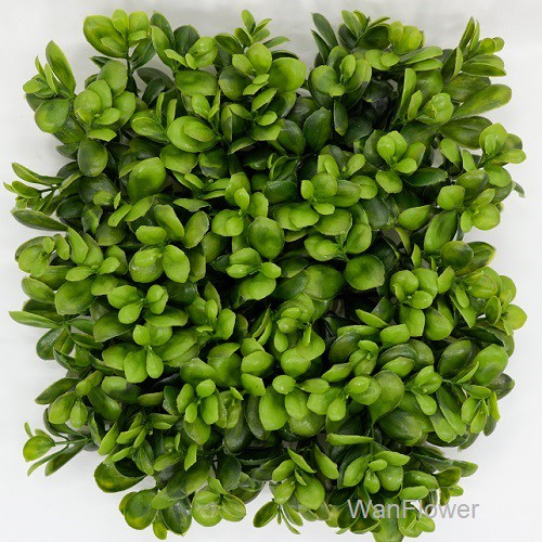 WANFLOWER Rumput 25x25 * WATER HYCINT