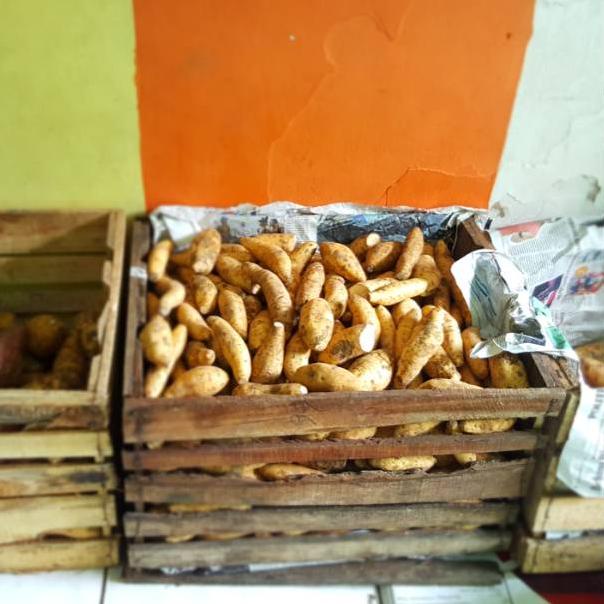 

NEW PRODUCT Q9326 Ubi Cilembu Khusus Reseller ヹ