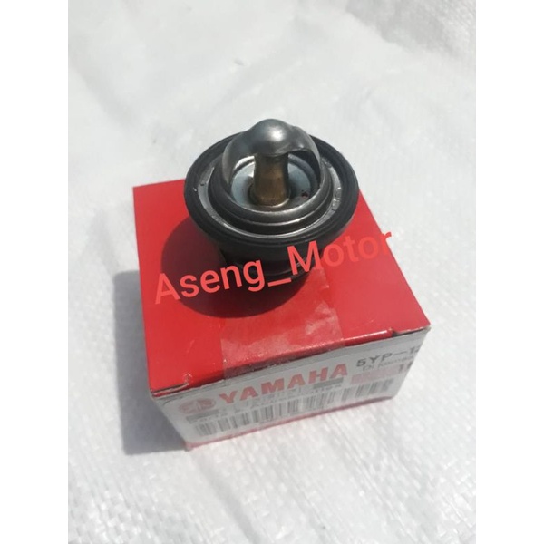 thermostat r15 v3