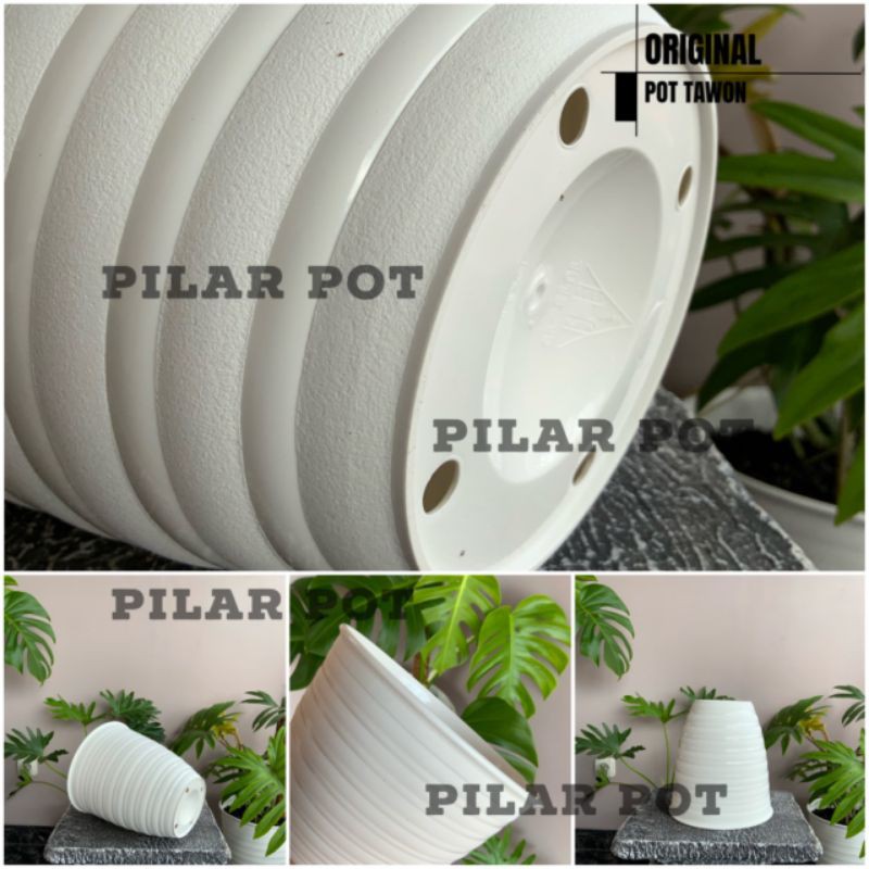 Pot bunga tawon putih tinggi (PIRUS) 24cm - tawon asli