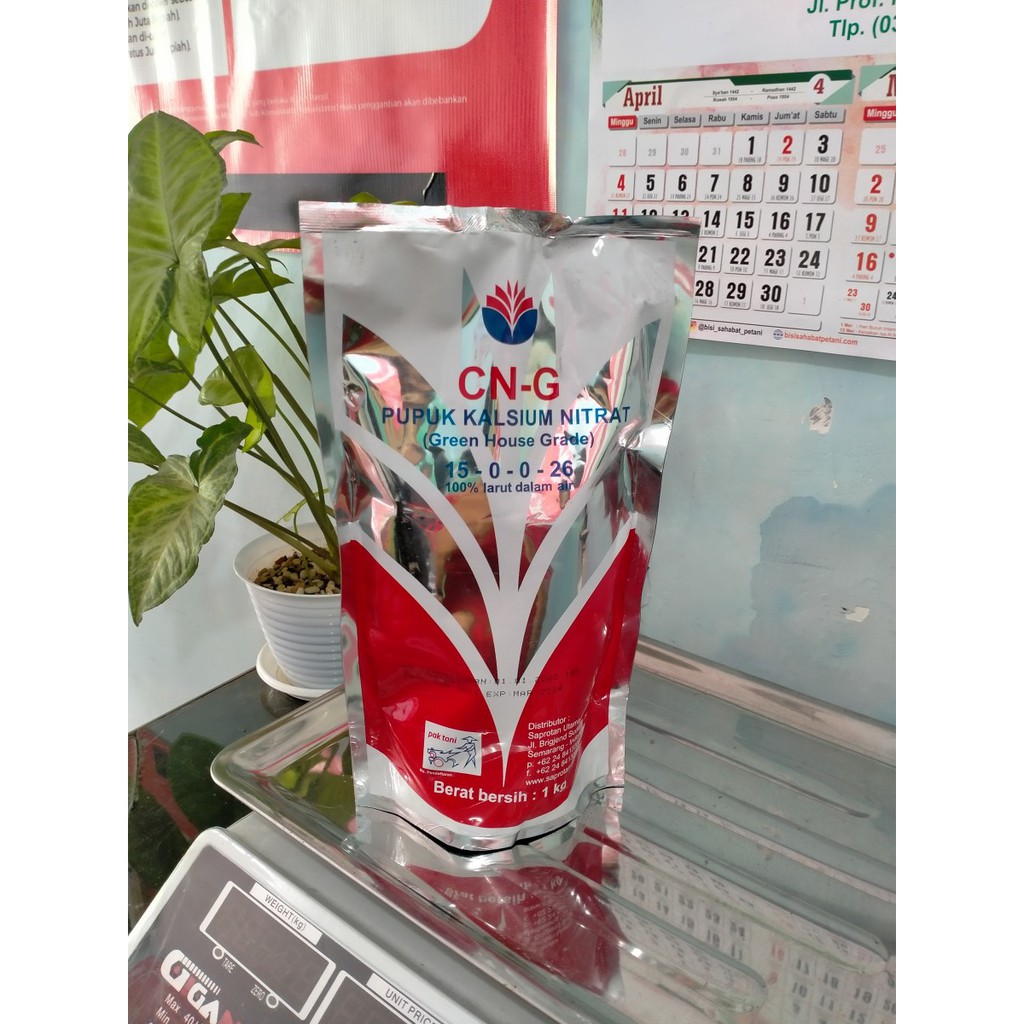 CNG KALSIUM NITRAT ISI 1KG PUPUK KALSIUM