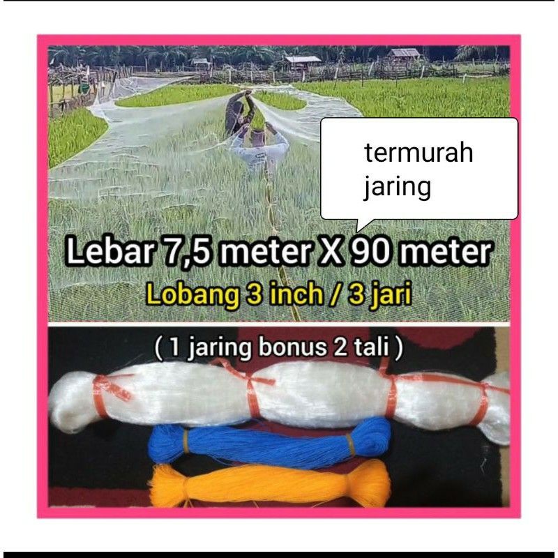 JARING SAWAH/PADI/BURUNG EMPRIT