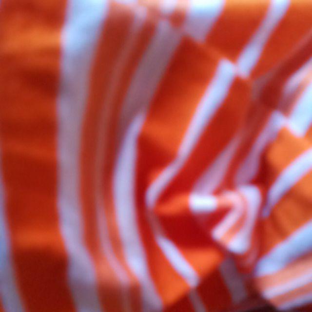 Lunch Set Tempat Makan Anak Frisian Flag