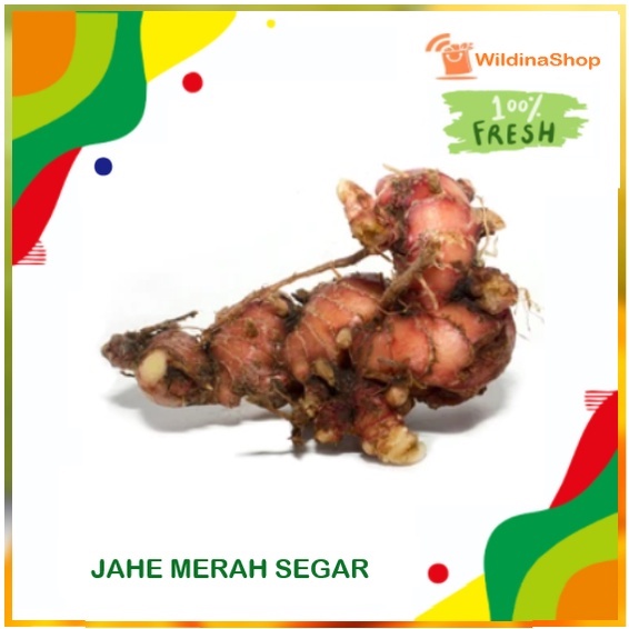 

Jahe Merah Segar [ 500 gr ]