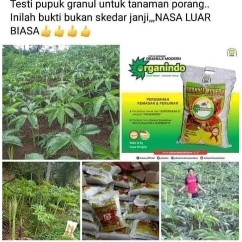 SUPER NASA GRANULE- SRAGAN - PUPUK GRANULE NASA