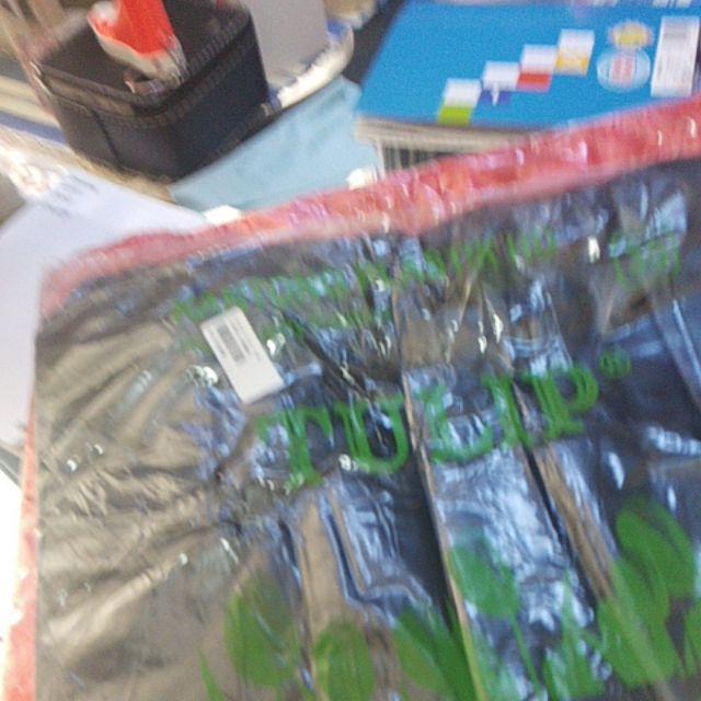 Kresek Tulip 40 ( 500 Gr )