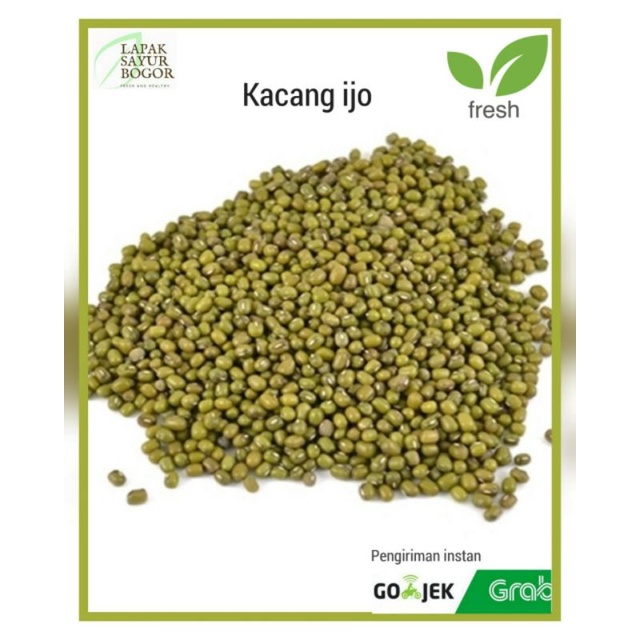 

kacang ijo super sayuran bogor