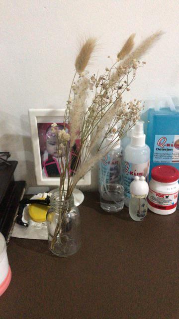 3tangkai Bunny Tail Rustic Dried Flower Alang Alang Bunga Kering