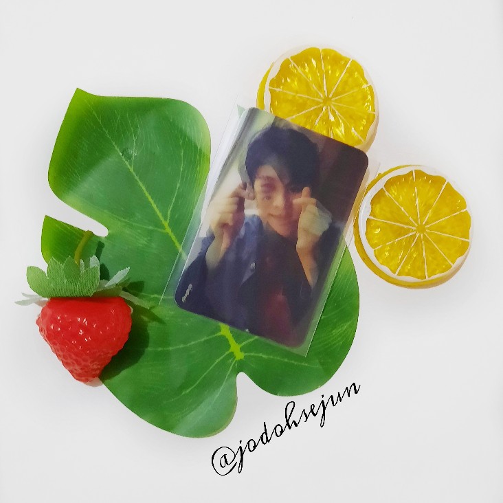 Lemon Slice Artifisial/properti Foto