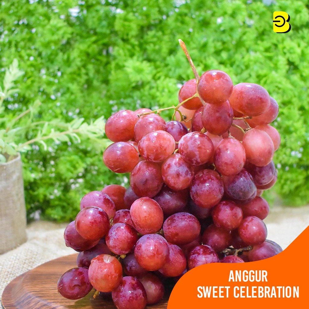 

PROMO BUAH ANGGUR RED SWEET CELEBRATION | BUAH ANGGUR MURAH TANPA BIJI