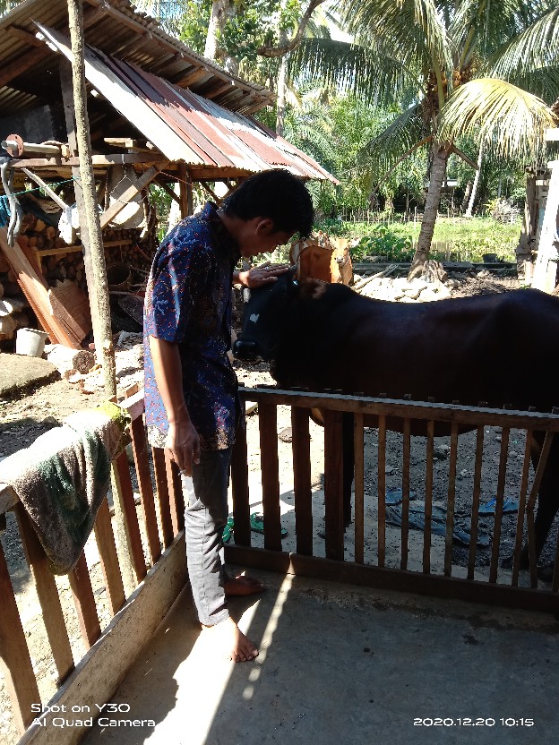 Hem/kemeja Batik Pendek