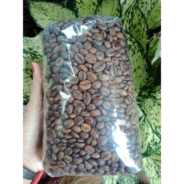 

BIJI KOPI ROBUSTA ROASTING MURNI 100‰