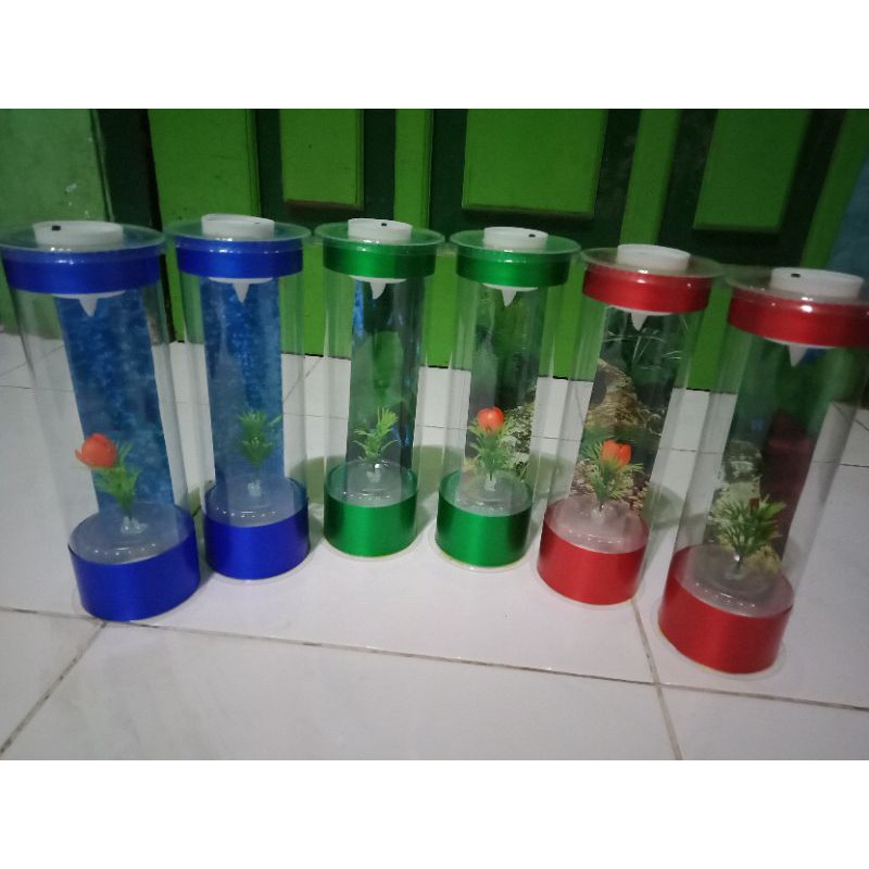 (COD) aquarium mini ikan cupang versi colour