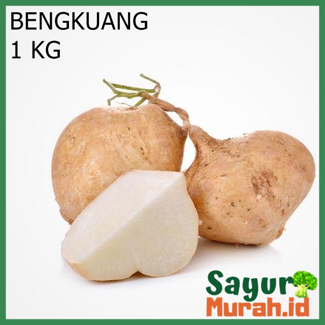 

BUAH BENGKUANG / BANGKUANG / BENGKOANG 500g / BAHAN RUJAK