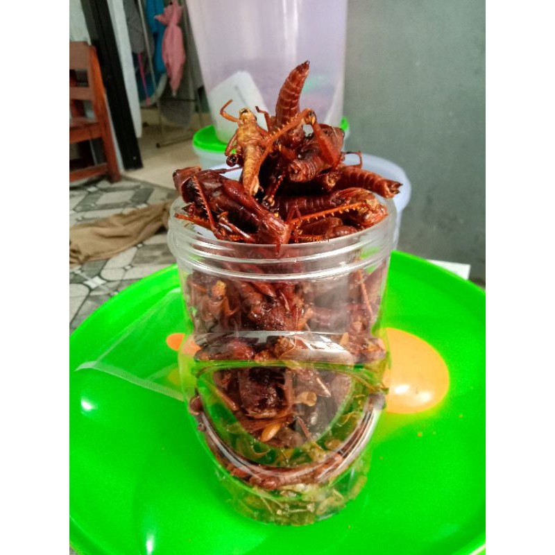 

BELALANG GORENG/WALANG GORENG BELALANG BESAR TOPLES JUMBO