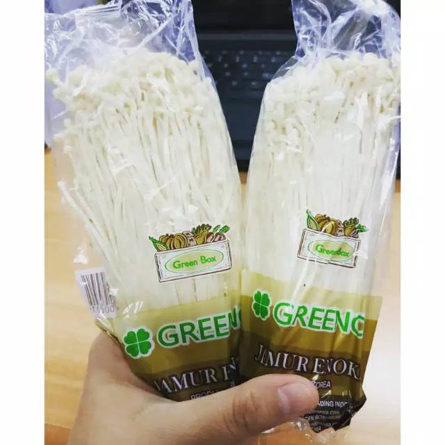 

Jamur Enoki Korea Fresh Import