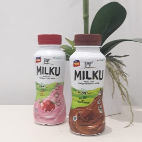 Jual Milku Susu UHT Coklat/Strawberry Premium 200 ml Indonesia|Shopee