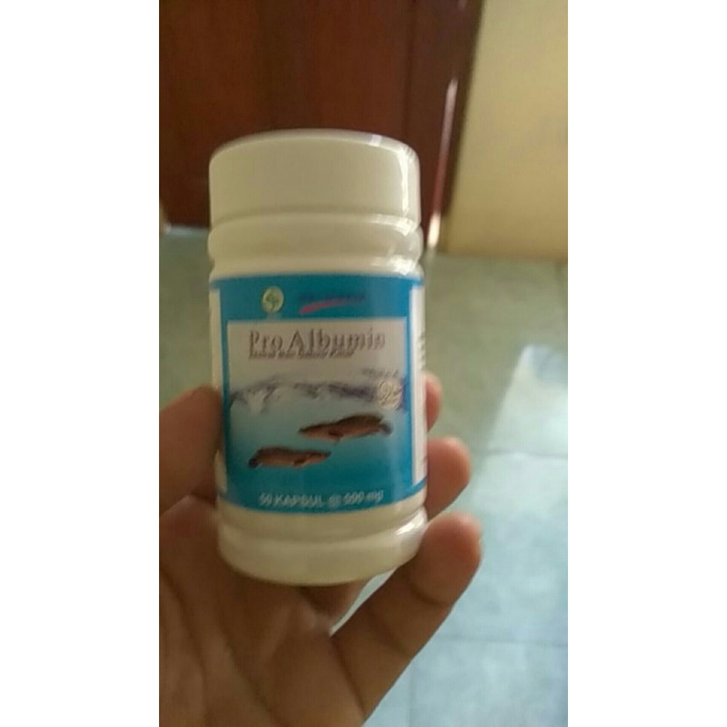 [100% Asli] Pro Album Ekstrak Ikan Gabus Kapsul Albumin Ikan Gabus Obat Herbal Pasca Operasi 50 Kapsul