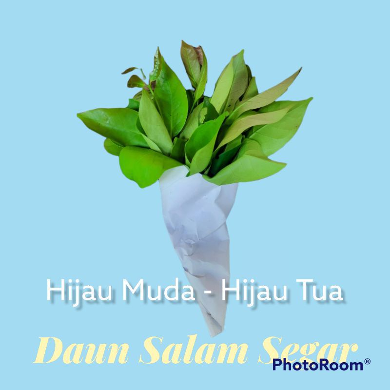 

Daun salam segar 100g-500g