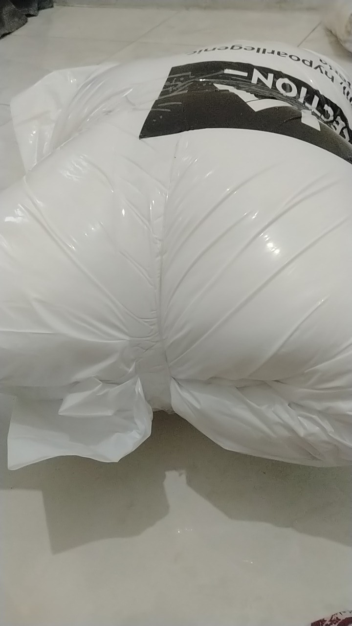 Rc Paket Bantal Guling Raisha Set Bahan Hollow Siliconized Fiber (raisha Pillow Collection)