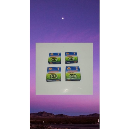 Bering governor S 195 - S 1115 Dongfeng