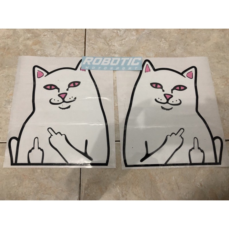 stiker kucing scoopy