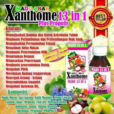 Simak Manfaat Madu Anak Xanthome 13 In 1 