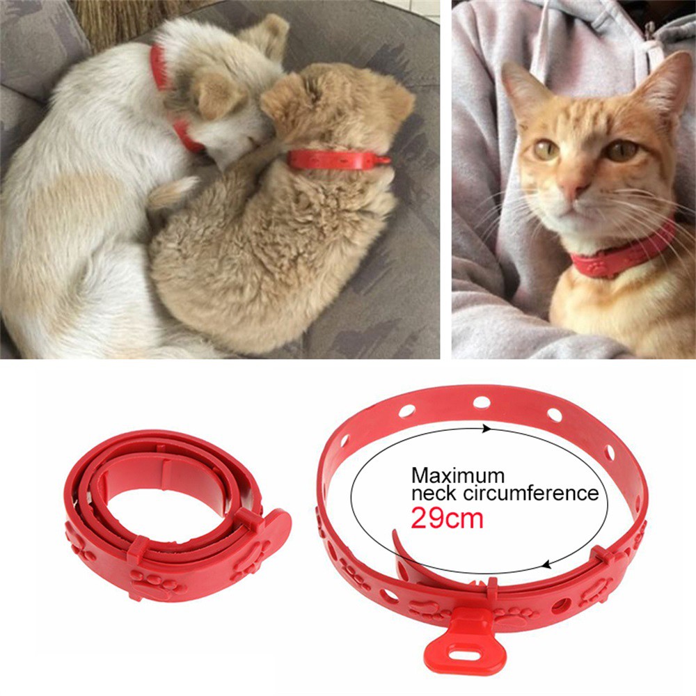 Kalung Kucing Anti Kutu