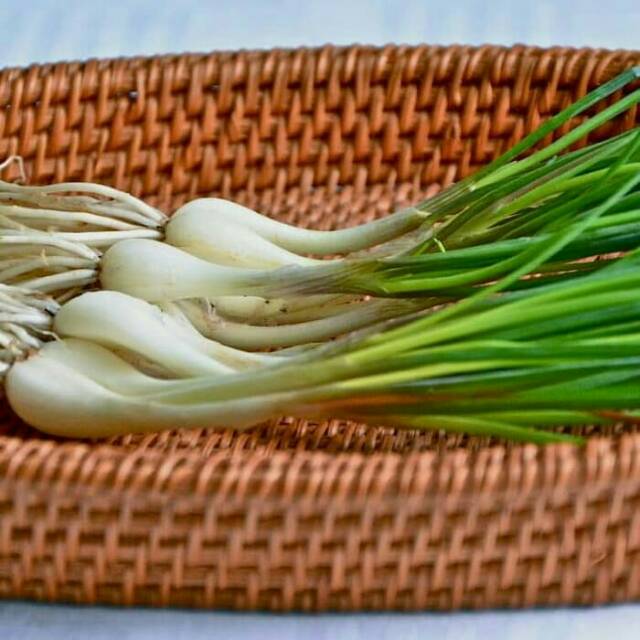 

kuncai atau bawang kucai per kg