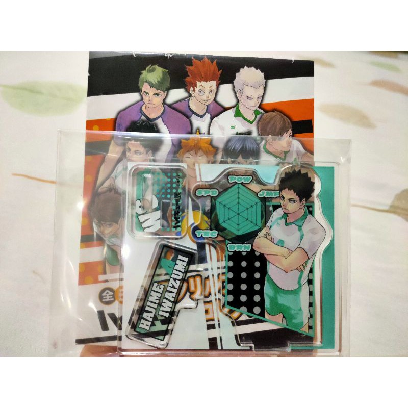 Haikyuu Exhibit : Iwaizumi Hajime Standee