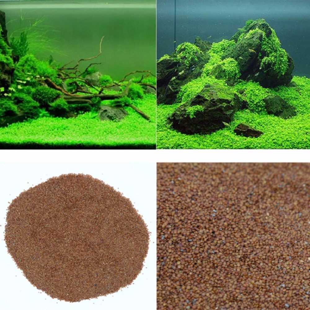 Bibit Rumput Air Dekorasi Aquarium Landscape Ornament - H0027-Coklat