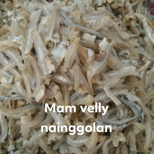 

Teri Gepeng